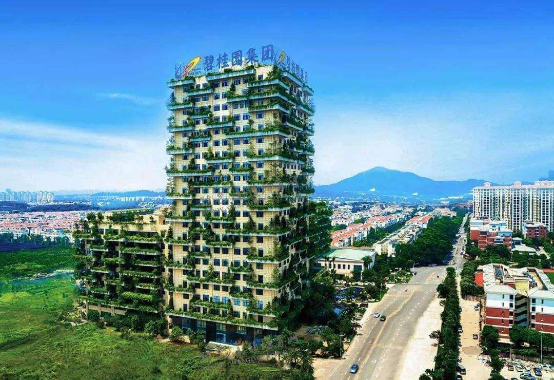 碧桂園地(dì)産